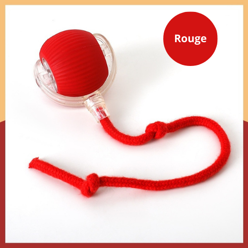 Balle Interactive pour Chat - Jouet Automatique avec Sons d’Oiseaux et Mouvements Autonomes